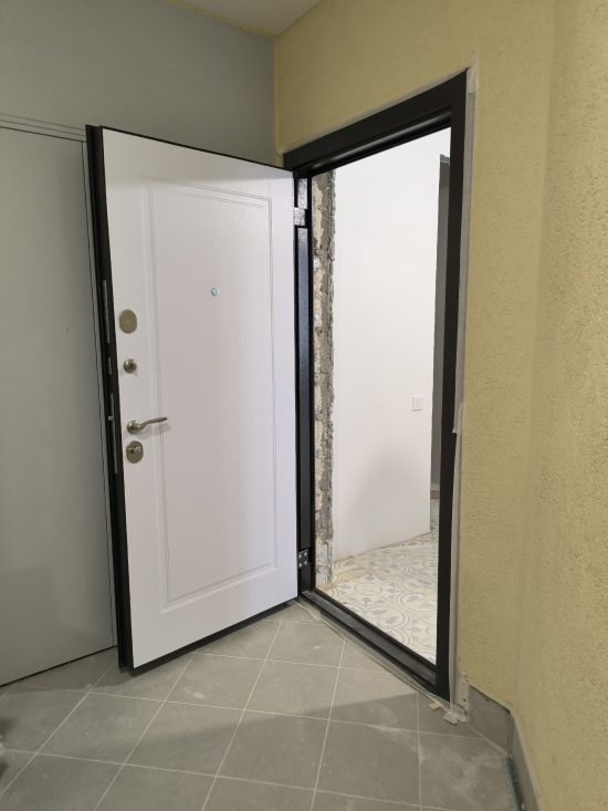 Фото входной двери №77